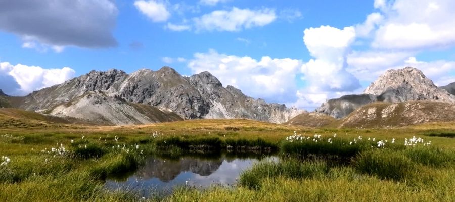 meditazione