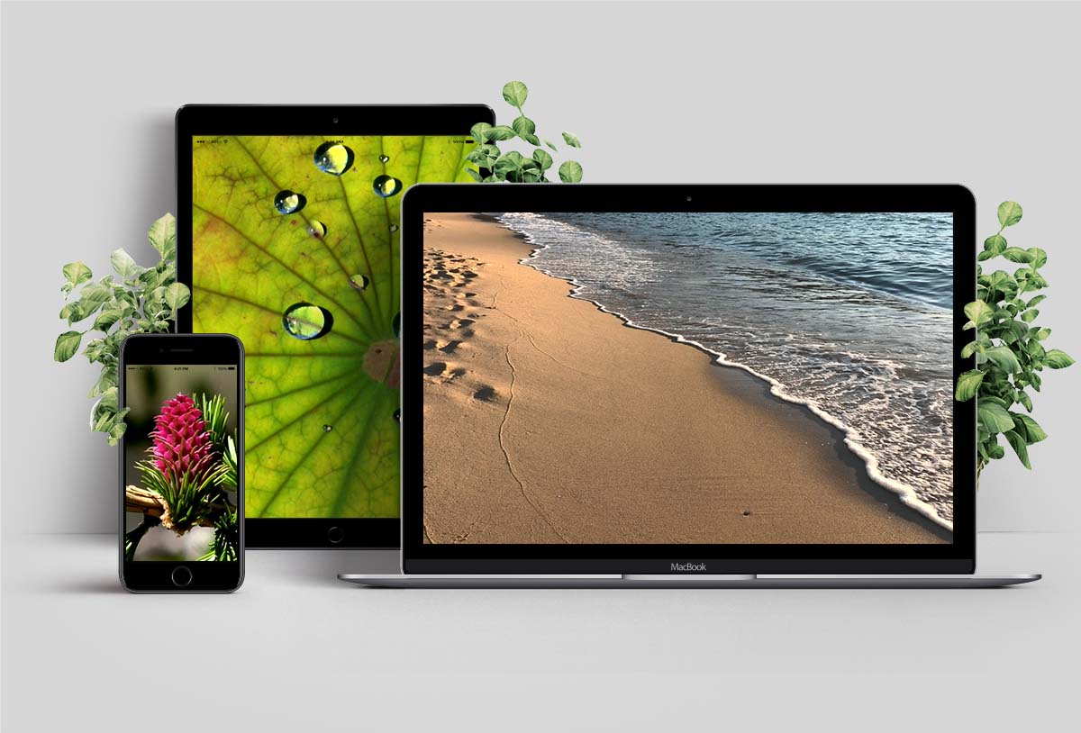 video natura