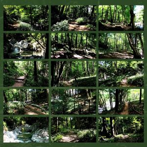 walk on the river ridotto