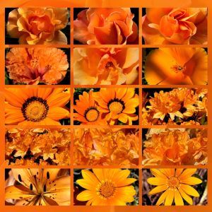 cromoterapia