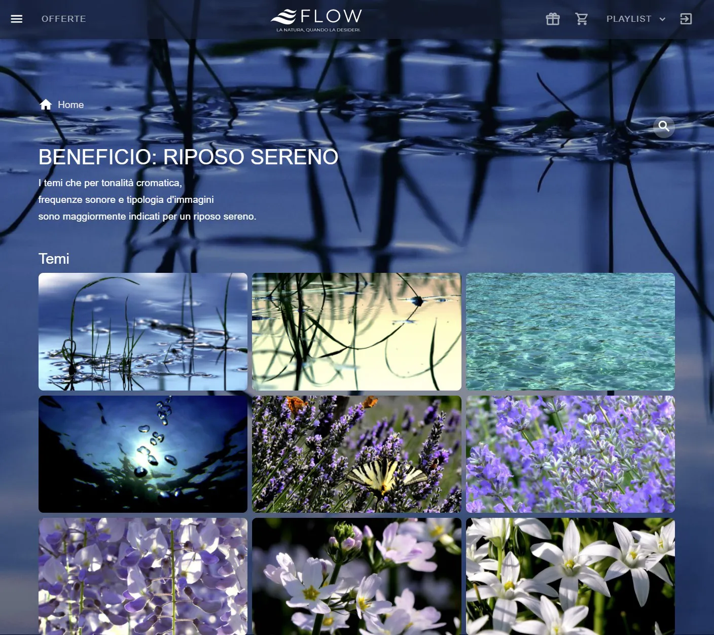 FLOW riposo sereno biofilia