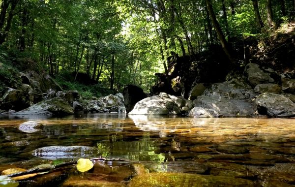natura rilassante