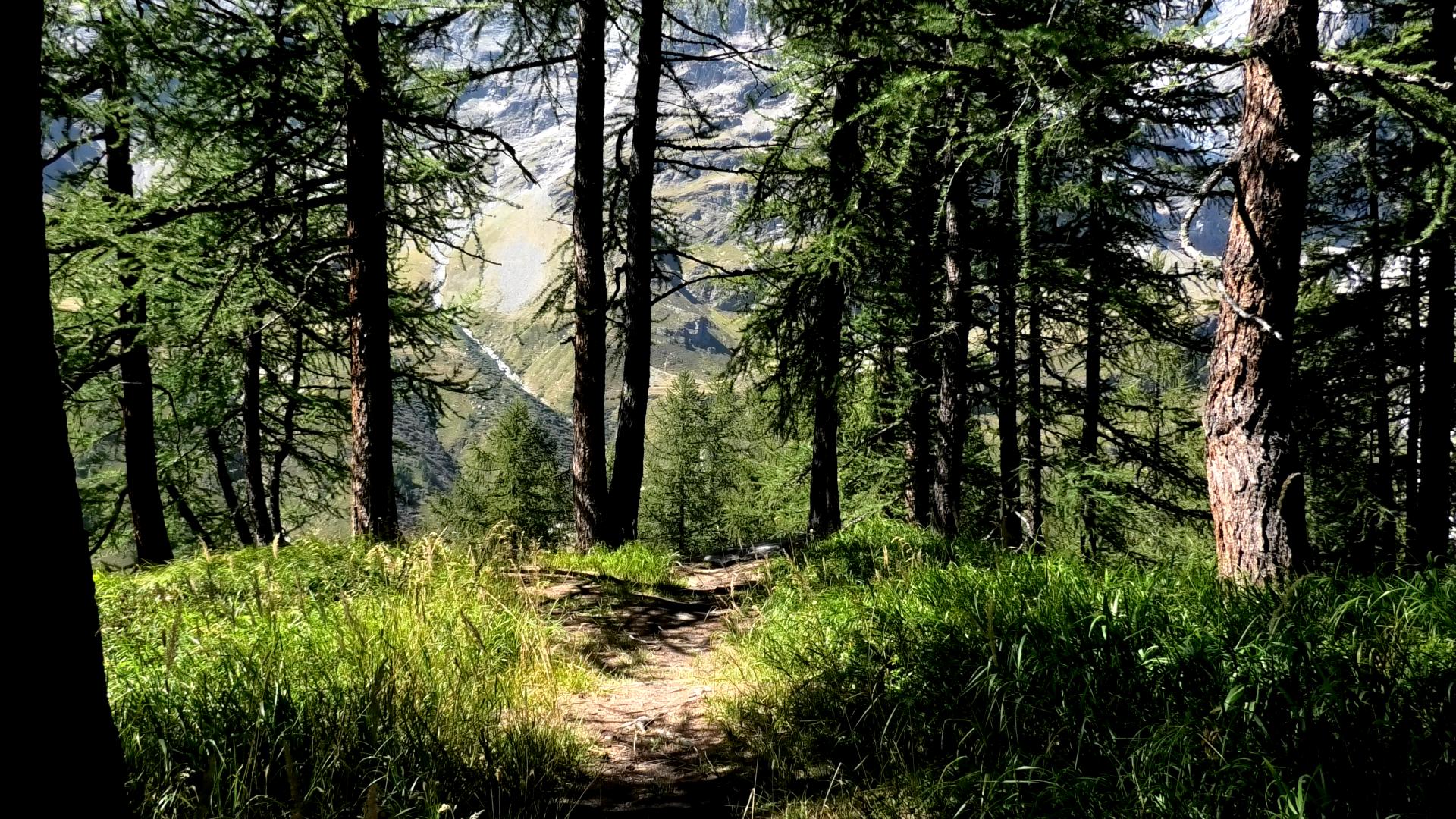 WALK ON THE MOUNTAIN clip 3 natura rilassante