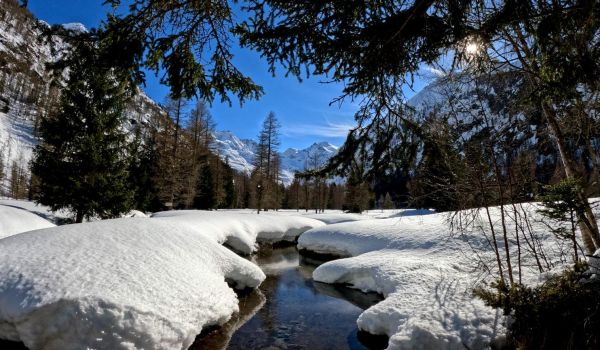 neve
