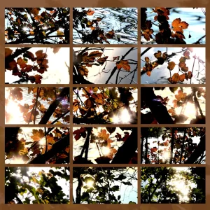 video autunno
