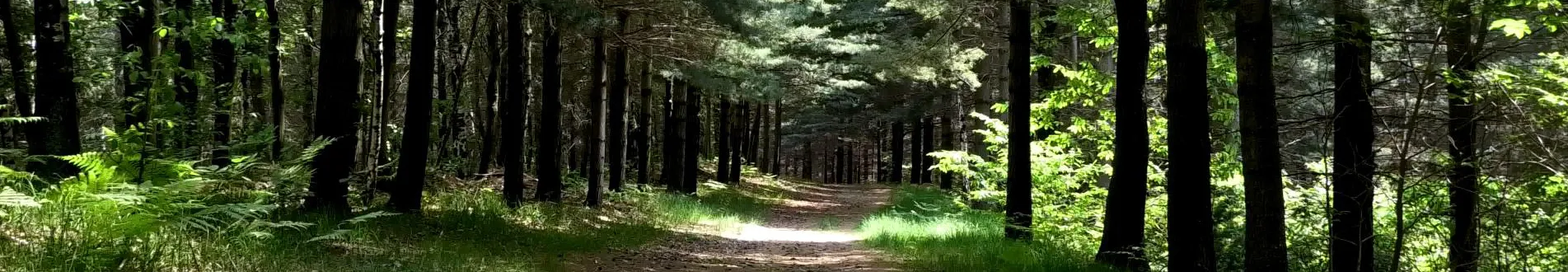 video natura