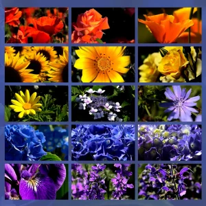 cromoterapia sette colori