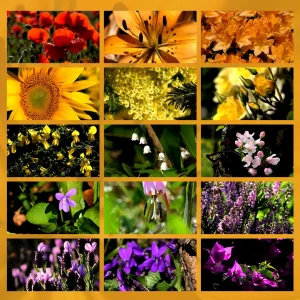 cromoterapia sette colori