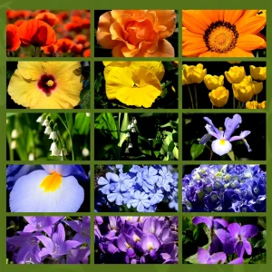 cromoterapia sette colori