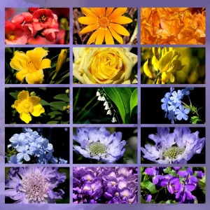 cromoterapia sette colori
