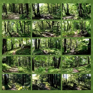 natura rilassante