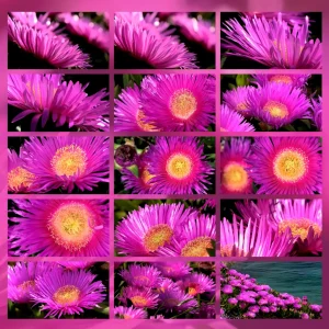 cromoterapia