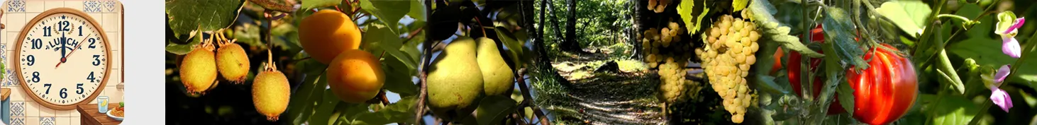 video natura