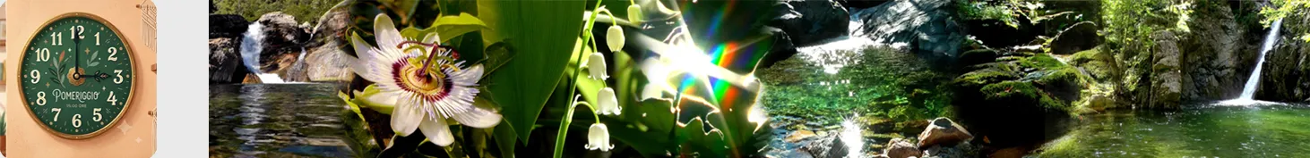 video rigeneranti