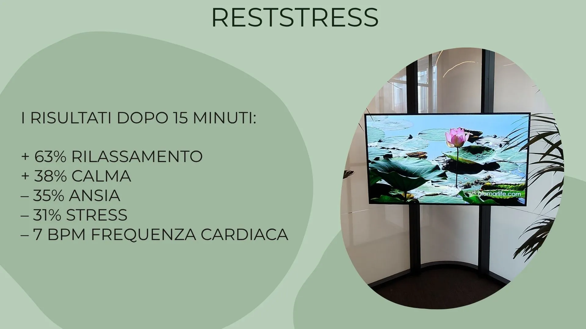 reststress intero reststress