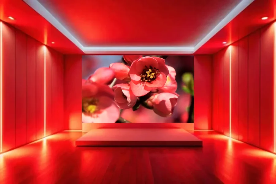 sala cromoterapia cydonia video natura