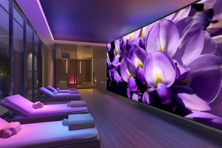sala cromoterapia glicine immagini natura