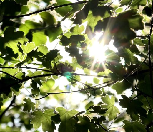 natura rigenerante