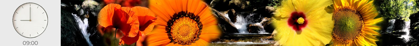 esperienze immersive in natura