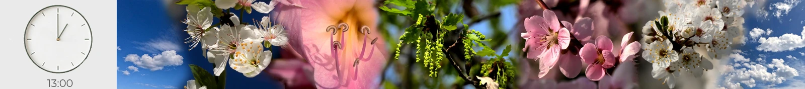 esperienze immersive in natura