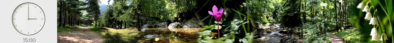 esperienze immersive in natura